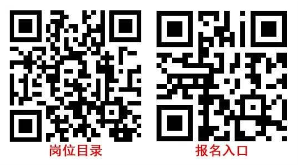 招录公告.png